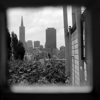 San Francisco Box Skyline